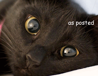 IMAGE: http://i1005.photobucket.com/albums/af171/retouch46/Forums/kitty.gif