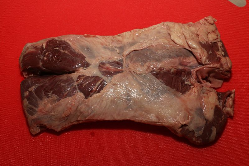 Photobucket Pictures, Images and Photos