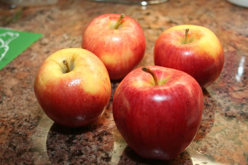 Photobucket Pictures, Images and Photos