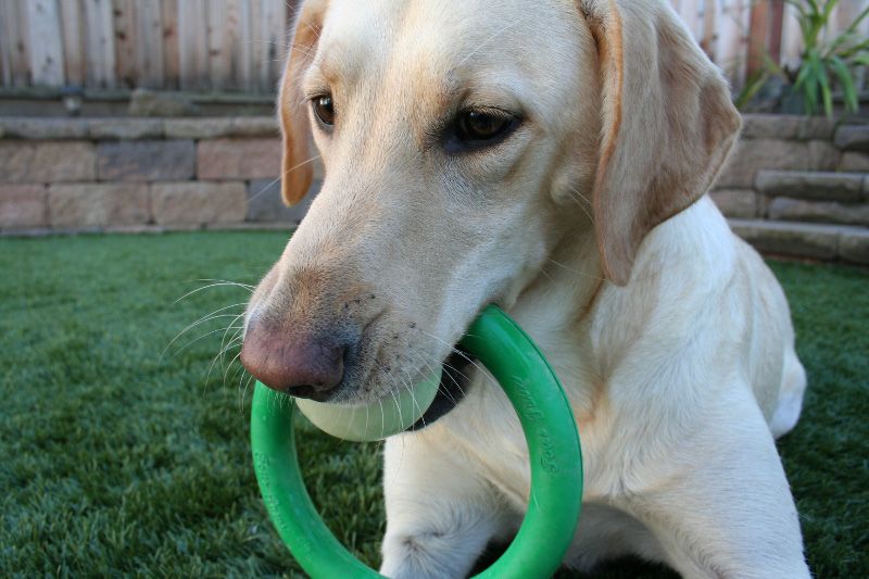 Photobucket Pictures, Images and Photos