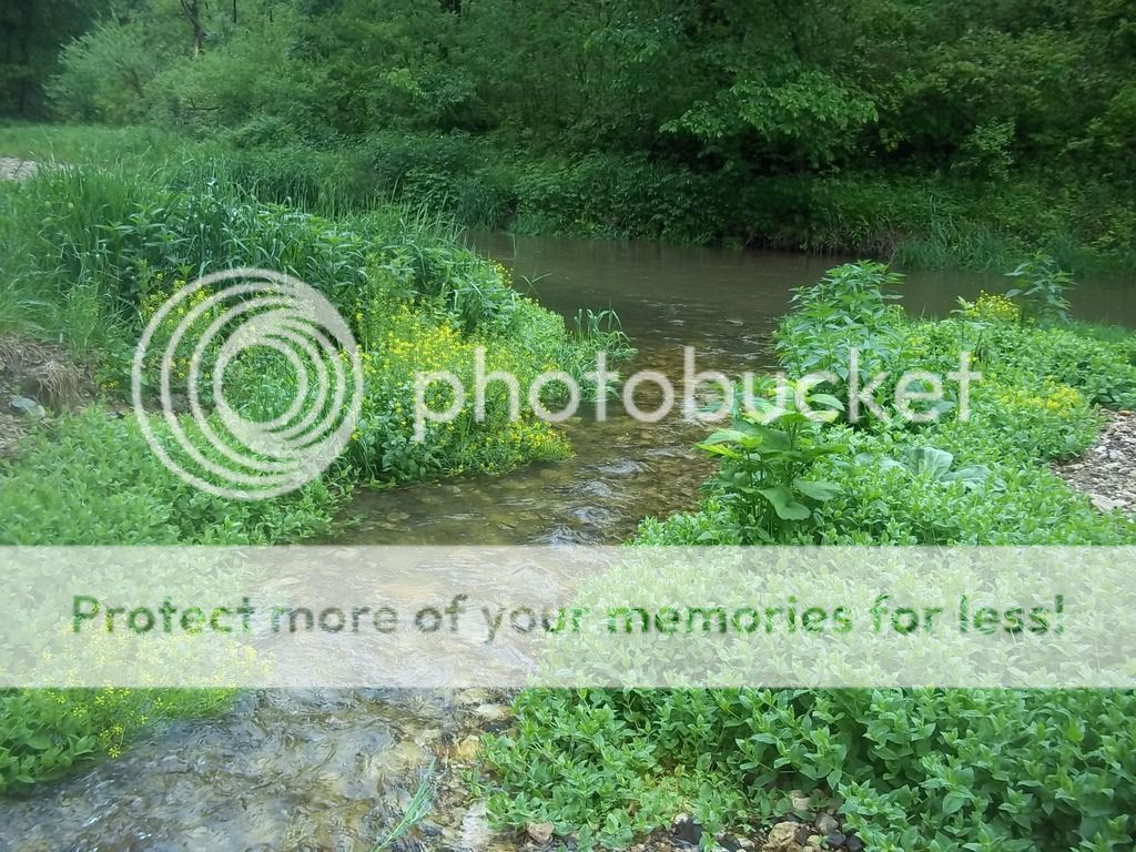 UserPostedImage