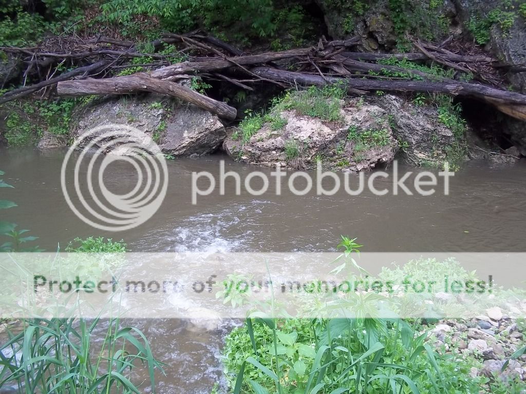 UserPostedImage
