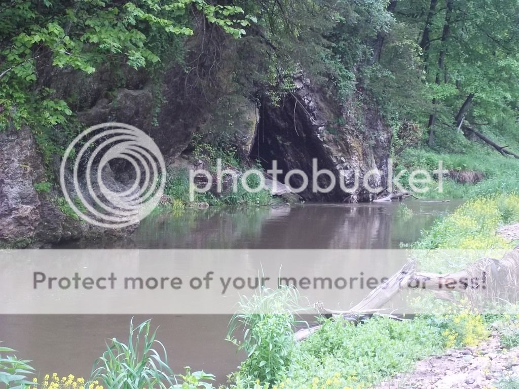 UserPostedImage