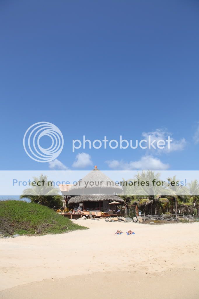 IMAGE: http://i1005.photobucket.com/albums/af175/ec454ss/POTN/IMG_2892.jpg