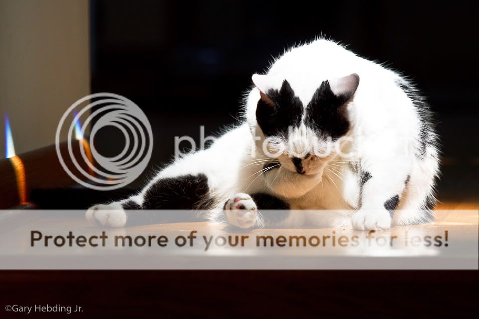 IMAGE: http://i1005.photobucket.com/albums/af175/gheb882/IMG_5603.jpg