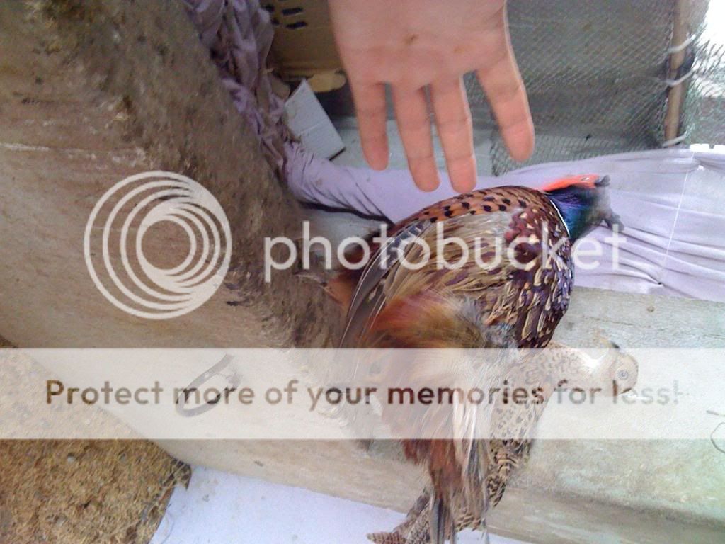 IMG_0535.jpg IMG_0535.jpg