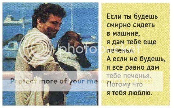 photo nvRm12wjghQ_zps5803e25a.jpg