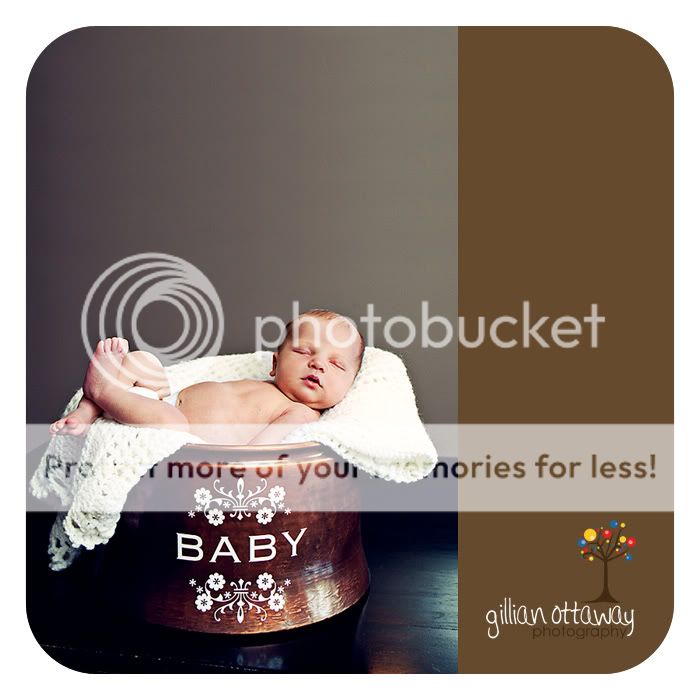 Newborn photography in the Comox/Courtenay area