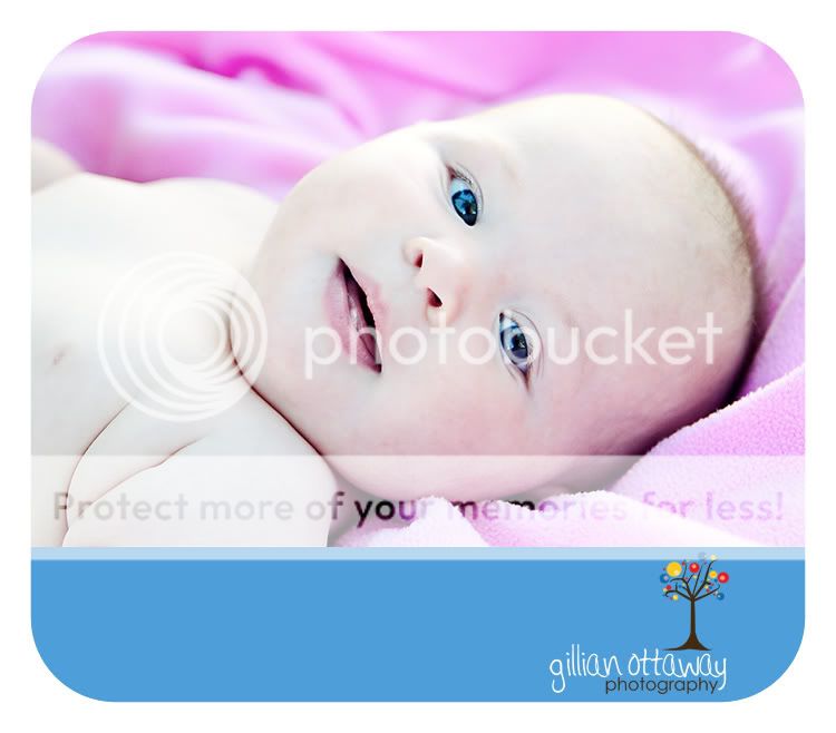 6 month old shoot, Comox photography