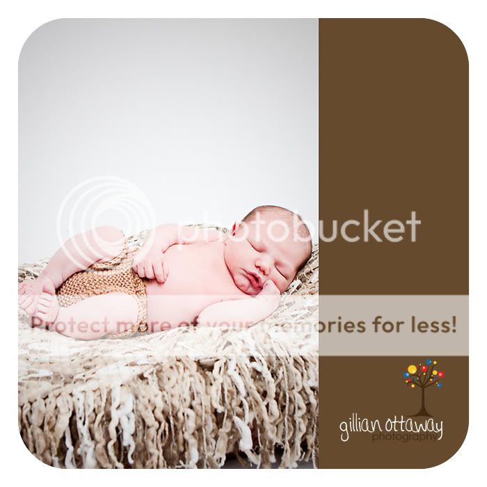 Courtenay newborn photography
