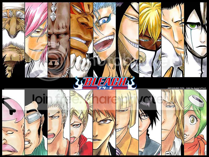 Bleach-VA.jpg