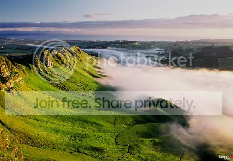 GREEN0.jpg