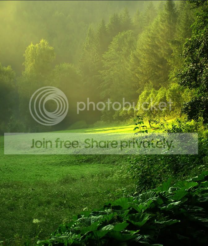 GREEN1.jpg