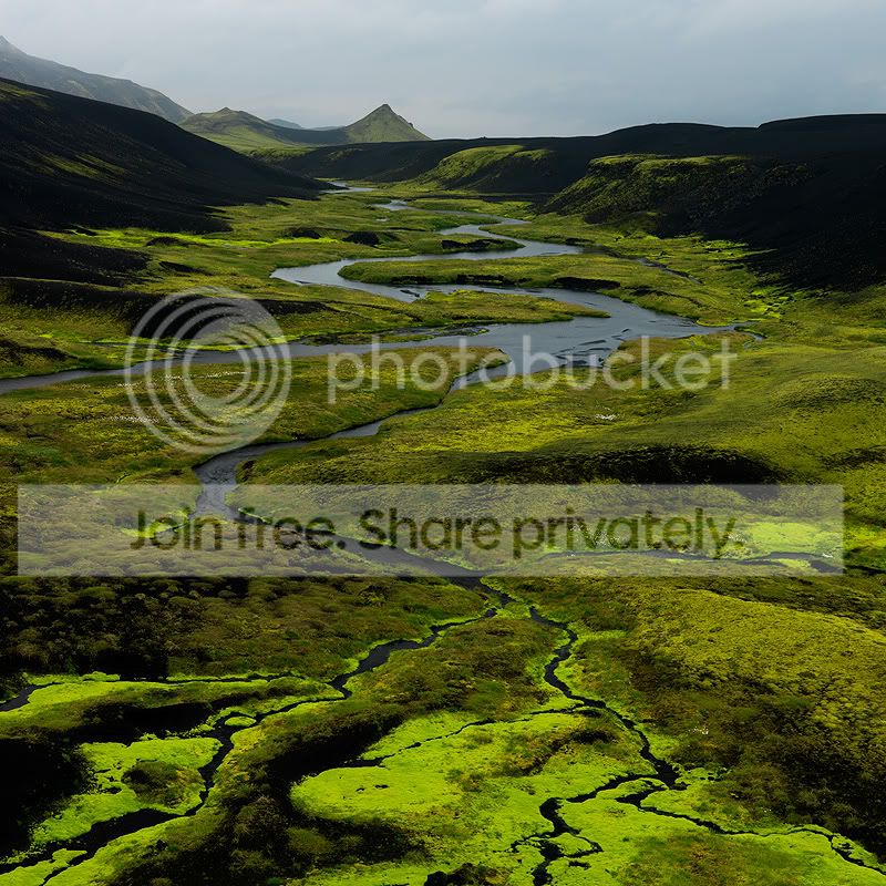 GREEN11.jpg