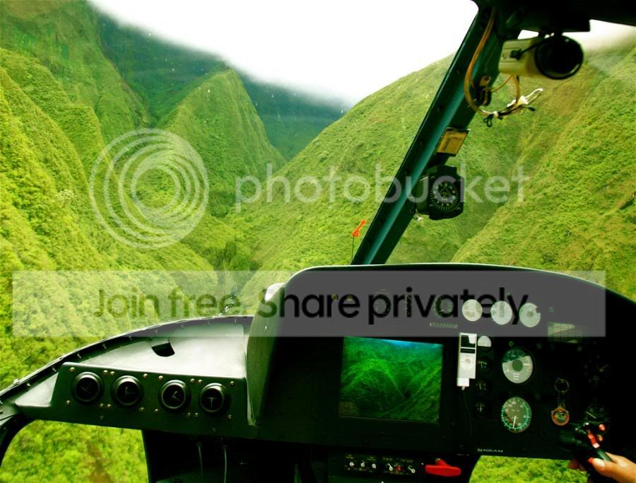 GREEN9.jpg