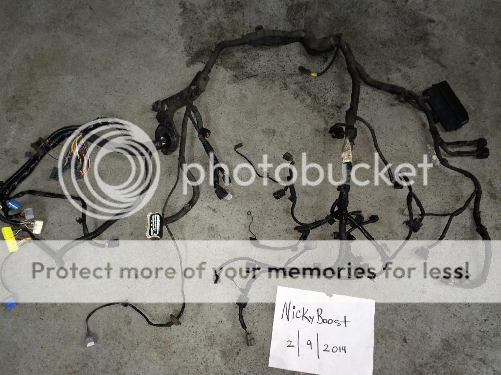 fs nyc evo 9 ecu, acd ecu, uncut engine harness, fuse box harness Wiring Harness Kit evo 9 oem fuel pump harness 75 firm